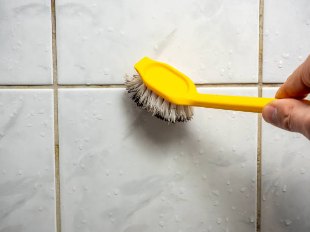 Best Mold Testing  in Crockett, CA
