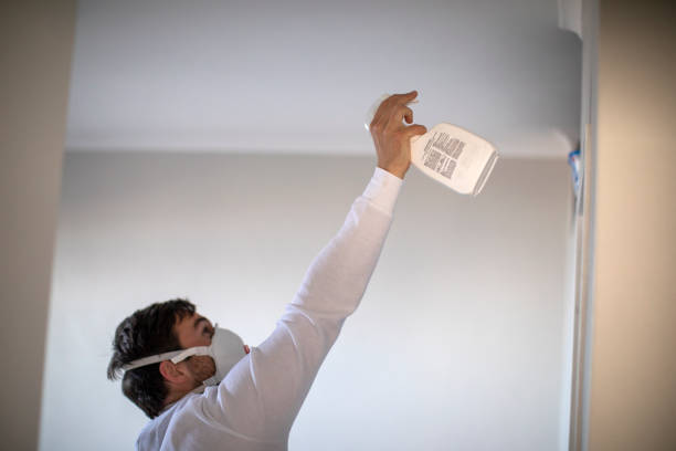 Best Same-Day Mold Removal  in Crockett, CA
