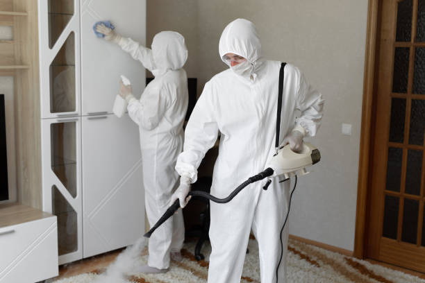 Best Toxic Mold Removal  in Crockett, CA