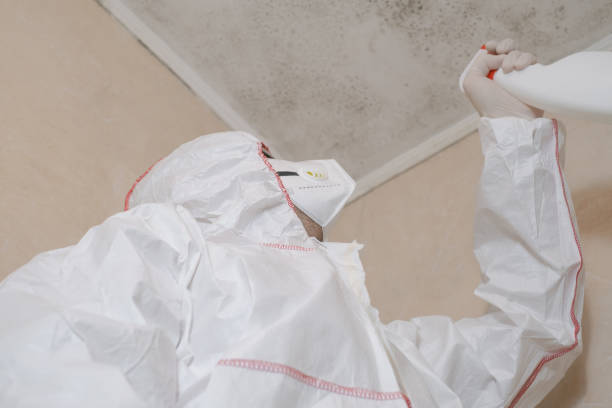 Best Professional Mold Removal  in Crockett, CA